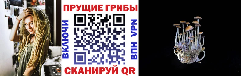 Псилоцибиновые грибы Magic Shrooms  Купить где  Верхняя Салда 